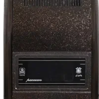 بخاری سالم و نو