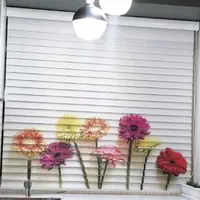 پرده زبرا چاپی سه بعدی ترکیه(فروش مستقیم نمایندگی)