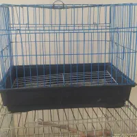 دوتا قفس نو نو|لوازم جانبی حیوانات|کرمانشاه, |دیوار