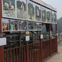 استخدام نیروی عکاس