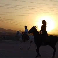 آموزش سوارکاری، گشت و طبیعت گردی با اسب|اسب و تجهیزات اسبسواری|مشهد, شهرک صنعتی توس|دیوار