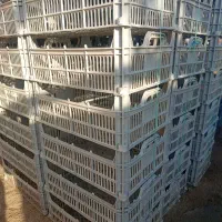 سبد هشت کیلو وشیش کیلو نوو سنگین