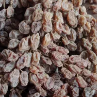 کشمش سایه خشک میلاخ