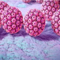 پک پاکسازی زیگیل تناسلی