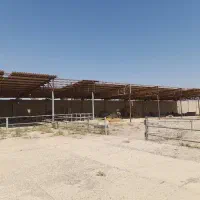 رهن/اجاره دامپروری (گاوداری شیری و پرواری)|اجارهٔ دفتر صنعتی، کشاورزی، تجاری|فشاپویه, |دیوار