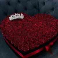 گل روبانی جاودان