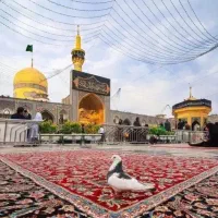 تور ریلی هوایی مشهد** قشم و کیش )مشــهد