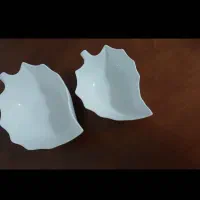 میوه خوری خوری و آجیل خوری برگ|ظروف سرو و پذیرایی|رشت, رشتیان|دیوار