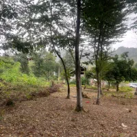 زمین مسکونی روبروی تالاب سوختکوه|فروش زمین و ملک کلنگی|لاهیجان, شیخ زاهد|دیوار