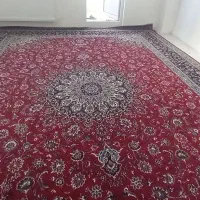 فرش ۱۲ متری|فرش|اردبیل, |دیوار