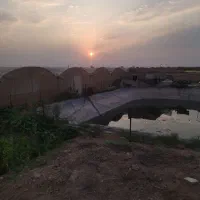 فروش گلخانه
