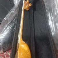 تار الگو یحیی