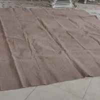 موکت|موکت|شاهین‌شهر, شهرک هشت بهشت|دیوار