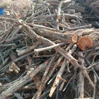 خرید و برش چوب هیزمی وصنعتی