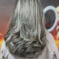 آموزش تخصصی رنگ ومش از پایه تا درآمدحرفه ای|خدمات آموزشی|تهران, هروی|دیوار