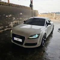 tt بسیار تمیز اسب زین شده