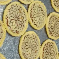 جذب نیروی خانم