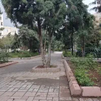 زمین-سندتک-برگ-چاهشک-پلاک-227