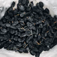 کشمش تیزآبی کشمش آفتابی گله کشمش پلویی مویز کشمش|خوردنی و آشامیدنی|مشهد, امیریه|دیوار