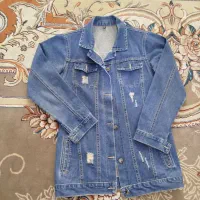 کت لی درحد نو