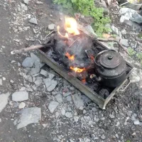 همخونه نیازمندم