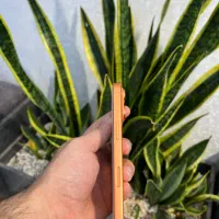 ایفون ۱۷ پرو قیمت کف اصفهان خدمون اونم اقساطی|موبایل|اصفهان, مفتح|دیوار