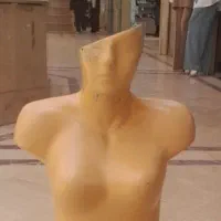 تعداد مانکن کامل ونیم تنه