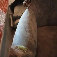 مبل سلطنتی|مبلمان خانگی و میز عسلی|مبارکه, |دیوار