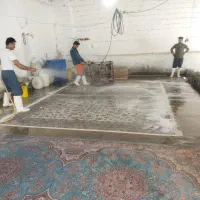 کارگر و رانند برای قالیشوی|استخدام حمل و نقل|مشهد, پنجتن|دیوار