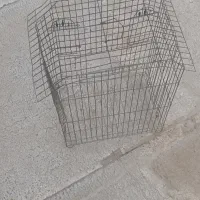 قفسه پرنده