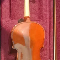 ویولن|ویولن|مشهد, ده دی|دیوار