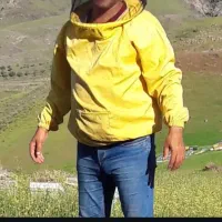 زنبور عسل و عسل