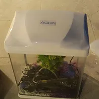 آکواریوم شرکتی
