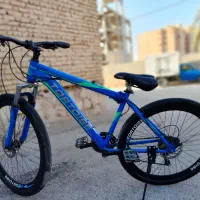 دوچرخه تورتویس