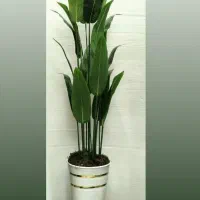 درختچه کنارسالنی|گل مصنوعی|مرند, |دیوار