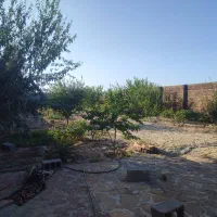 باغ در بافت روستا مبیاشد|فروش زمین و ملک کلنگی|رضویه, |دیوار