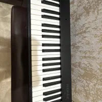 پیانوی تاشو|پیانو، کیبورد، آکاردئون|یزد, |دیوار