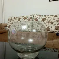 تنگ ماهی سایز بزرگ ۲عدد