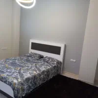 اجاره اپارتمان مبله شیک و مدرن تک و دو خواب فردوس|اجارهٔ کوتاهمدت آپارتمان و سوئیت|تهران, سازمان برنامه جنوبی|دیوار