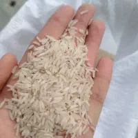 همینجور که میخوای