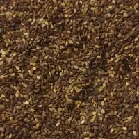 خریداری و فروشی کنجد