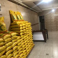 انوع برنج هاشمی لاشه هاشمی پاکستانی هندی خاطره پلو|خوردنی و آشامیدنی|کرج, گلشهر|دیوار