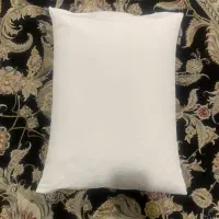 10 عدد بالشت پشتی پر