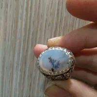 انگشتر نقره شجر قائن