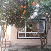 فروش ویلا باغ ساحل درویش آباد چاکسر