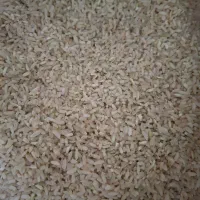 فروش برنج|خوردنی و آشامیدنی|یاسوج, |دیوار