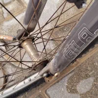 دوچرخه|دوچرخه، اسکیت، اسکوتر|شیراز, ارم|دیوار