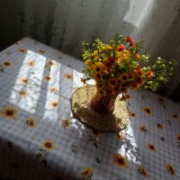 سفره رومیزی ضدلک  پارچه فلامنت پینترستی|سفره، حوله، دستمال آشپزخانه|کرج, گلستان|دیوار