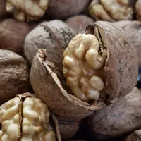 ۲ کیلوگردو توسرکان