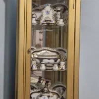 پاتریشن و تلویزیون